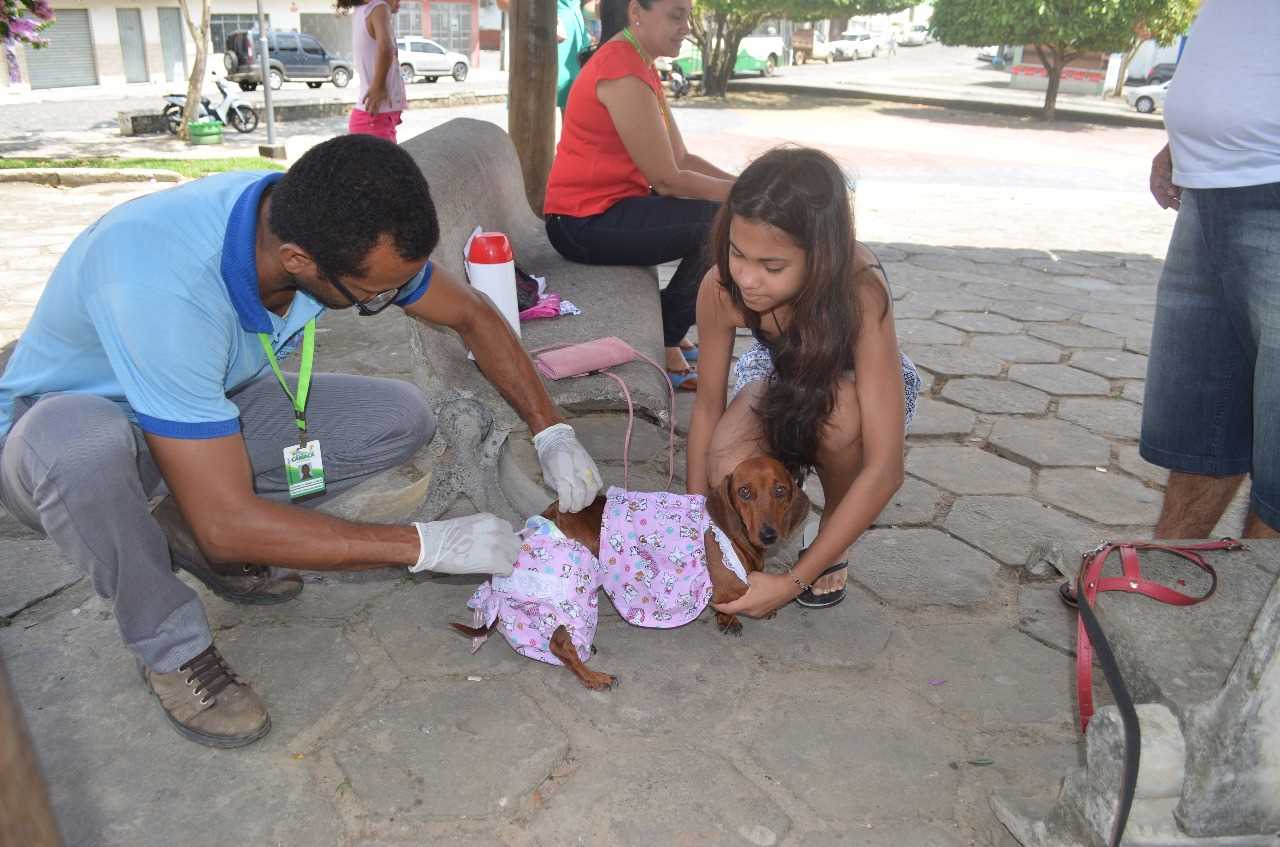 Vacinação